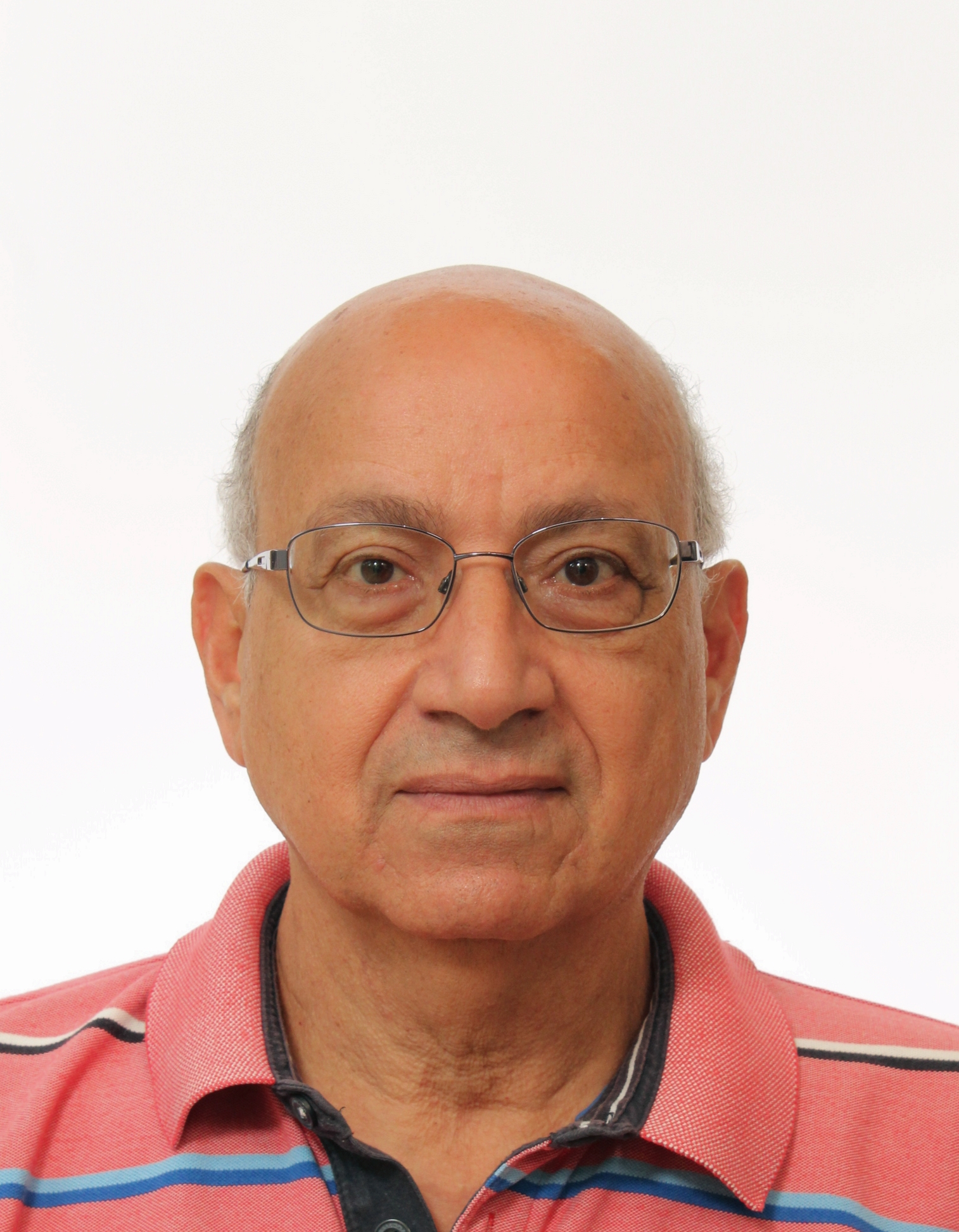 magdy iskarous - energieadviseur en coördinator ambassadeurs Energieloket Veenendaal