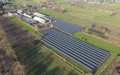 Meikade daken en veld